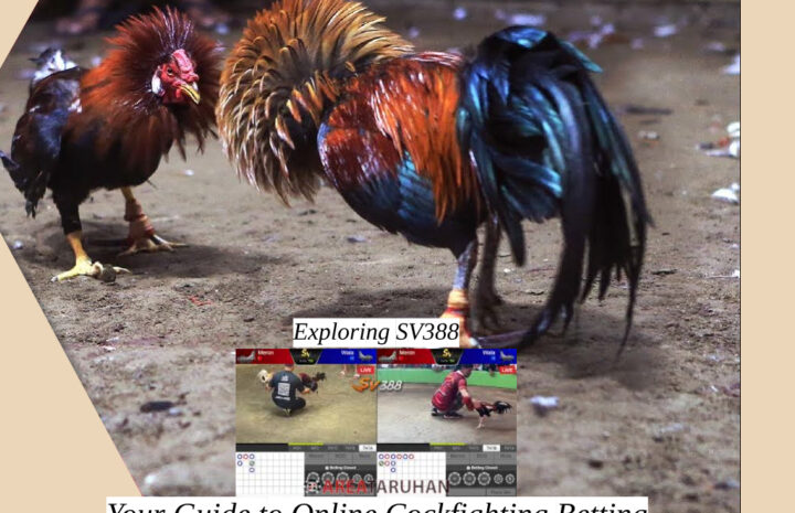 Exploring SV388: Panduan Anda dalam Taruhan Sabung Ayam Online